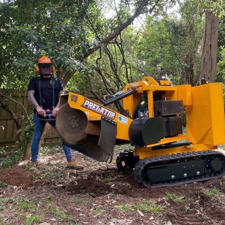 Melbourne Stump Grinding Services