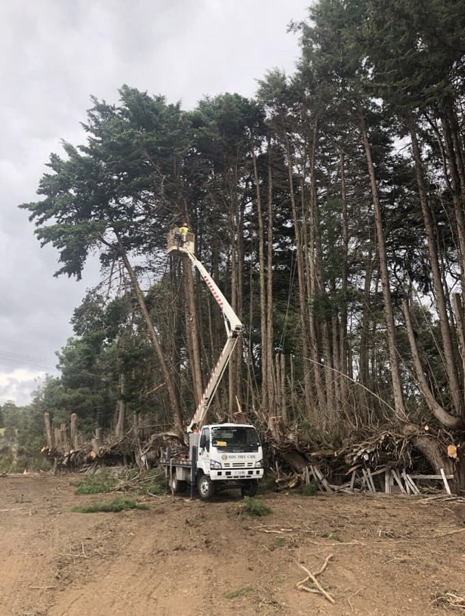 BDS Tree Care Pty Ltd