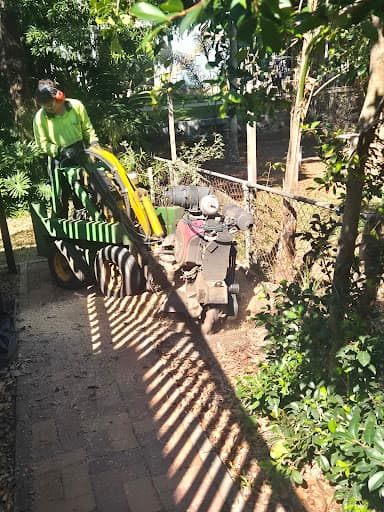 Just Stumpgrinding — Customer photo