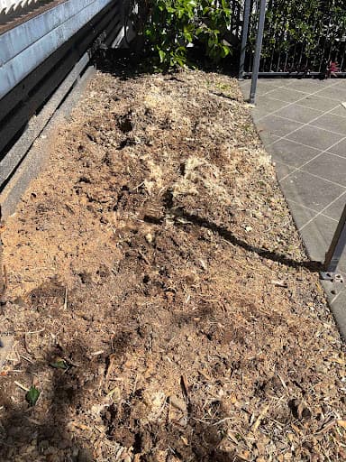 Gold Coast Stump Grinders Pty Ltd — Customer photo