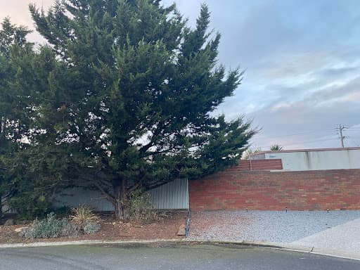 Terrific Trees — Customer photo