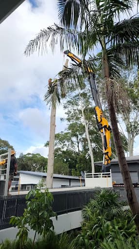 Tip Top Tree Services — Customer photo