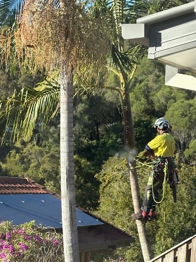 Mick Brewer Tree Services — Customer photo