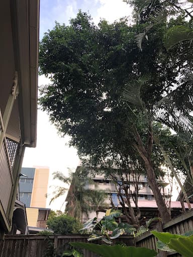 GDE Tree Services — Customer photo