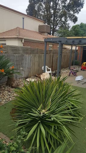 Major Tree Services — Customer photo