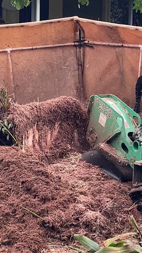 ET's Stump Grinding — Customer photo