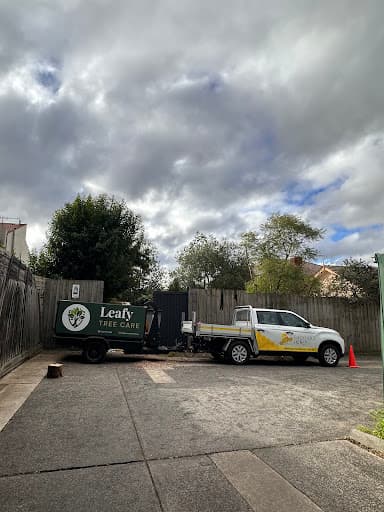 Leafy Tree Care — Customer photo