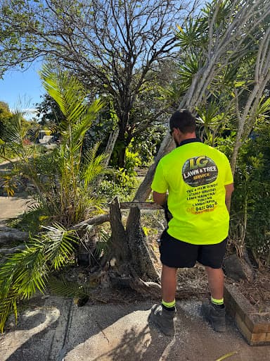 LC Lawn and Tree Service — Customer photo