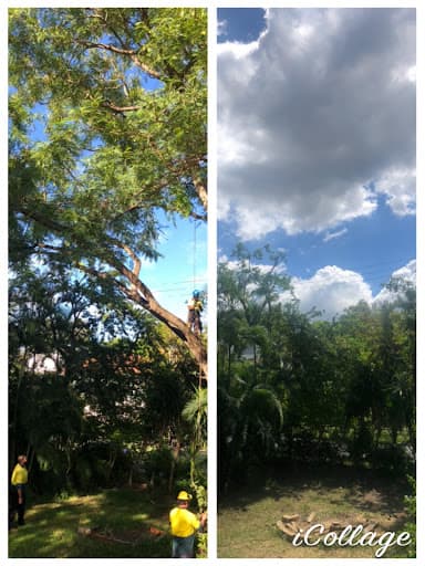 Heritage Tree Care — Customer photo