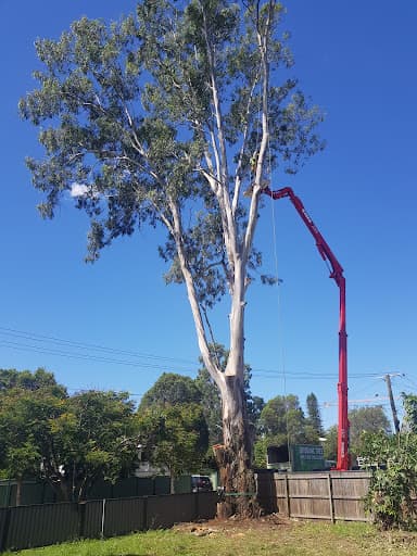 Brisbane Yard — Customer photo