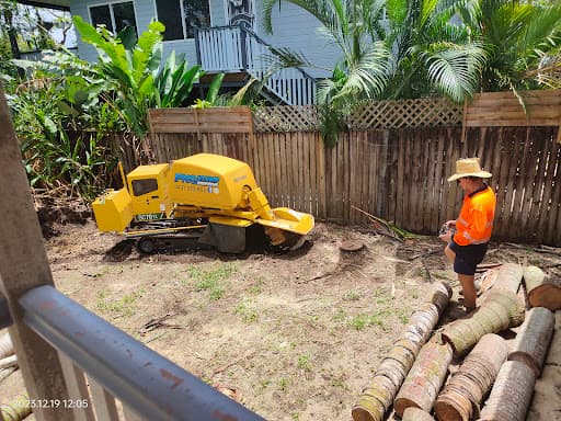FNQ Stump Grinding — Customer photo
