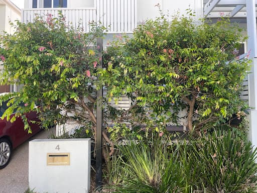 Diamond Tree Services — Customer photo