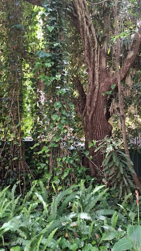 Arborist Cut Tree Services — Customer photo