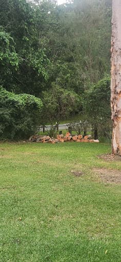 Viking Tree Care Arborist Gold Coast — Customer photo
