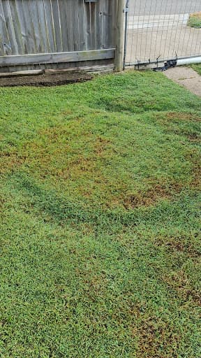 Sun City Trees & Mulch — Customer photo