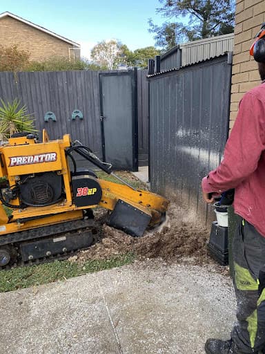 Stump Removal Geelong — Customer photo