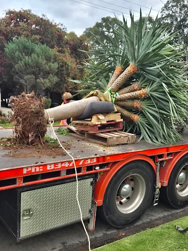 Total Trees and Gardens — Customer photo