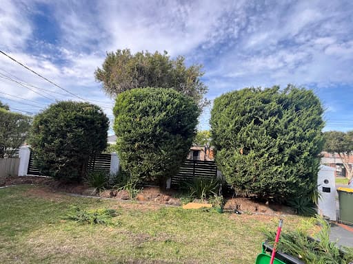 Rocky's Tree Removal — Customer photo