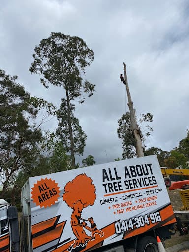 All About Tree Services QLD — Customer photo