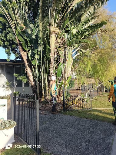 Coral Coast Tree Care — Customer photo