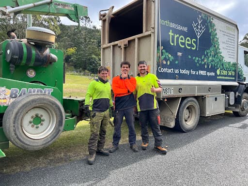 North Brisbane Trees — Customer photo
