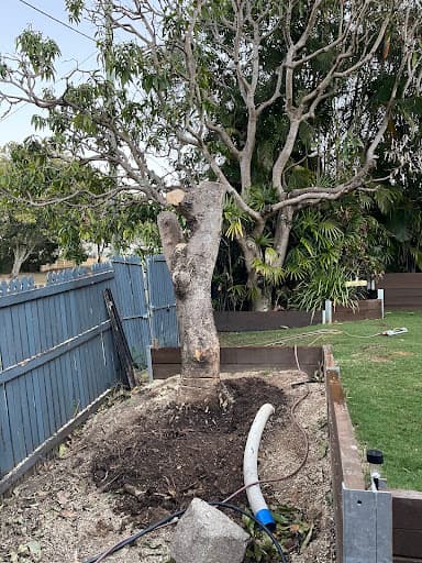 Rapid Stump Grinding — Customer photo