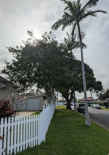 All About Tree Services QLD — Customer photo