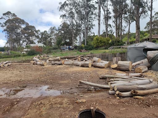 I Cut Tree Services — Customer photo