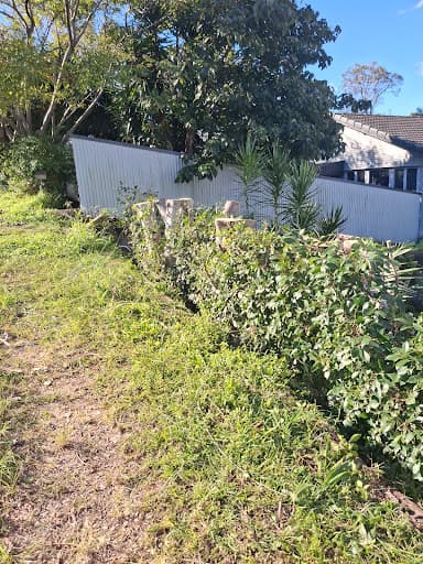 Aussie Tree Solutions — Customer photo
