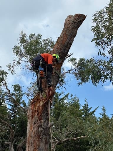ArborCo — Customer photo
