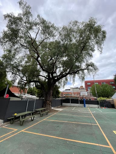 Trav's Tree Services — Customer photo