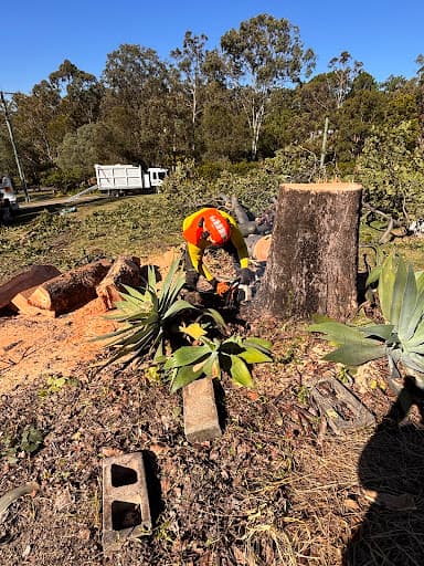 Mick Brewer Tree Services — Customer photo
