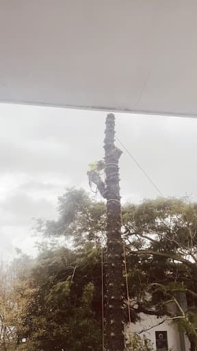 Branch Out Tree Specialists — Customer photo