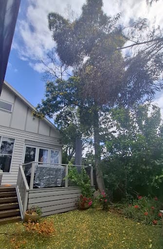 Bay City Tree Services — Customer photo