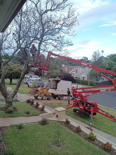 Cathcart Tree Services — Customer photo