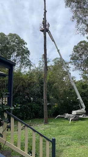 Treesafe Australia Pty Ltd — Customer photo