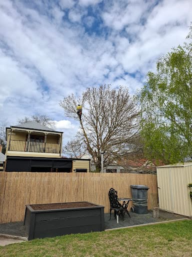 Ballarat Treeworks — Customer photo