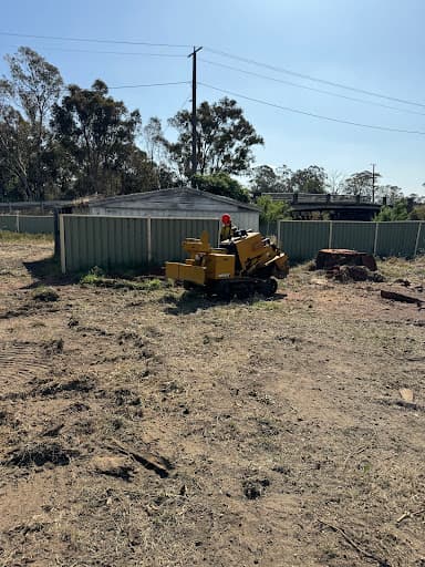 Melbourne Stump Removals — Customer photo