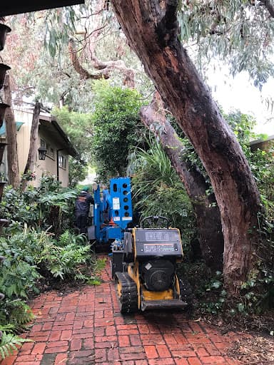 Chris Davies Tree Removals — Customer photo
