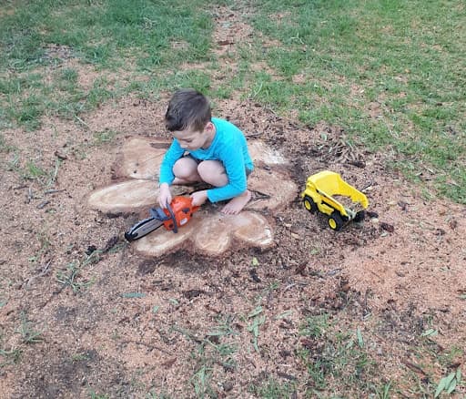 Tip Top Tree Services — Customer photo