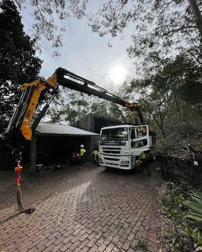 North Brisbane Trees — Customer photo