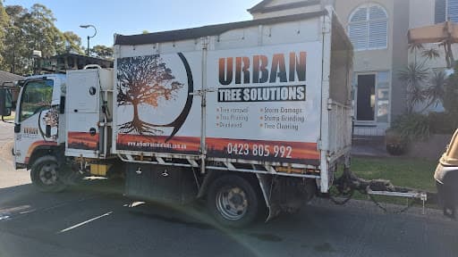 Urban Tree Solutions — Customer photo