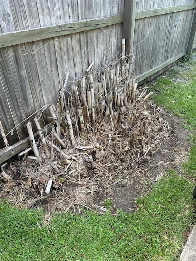 Bear Stump Grinding Services — Customer photo