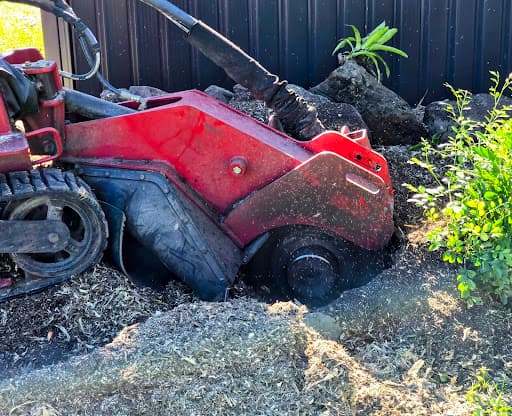Gold Coast Stump Grinders Pty Ltd — Customer photo