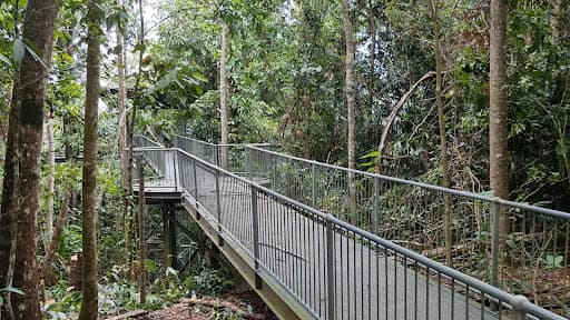 Cairns Tree Care - Tree Lopping and Tree Removals — Customer photo