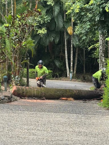 Bumble Bee Tree Services — Customer photo