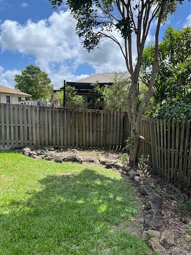 Viking Tree Care Arborist Gold Coast — Customer photo