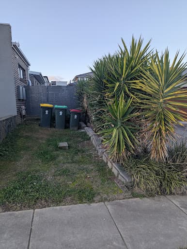 Liro Tree Services — Customer photo