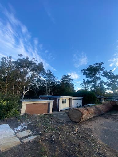 Your Local Arborist — Customer photo