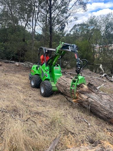 Harry's Yard: Tree Removal Services — Customer photo